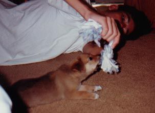 Playtime