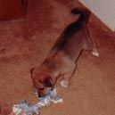 Playtime2